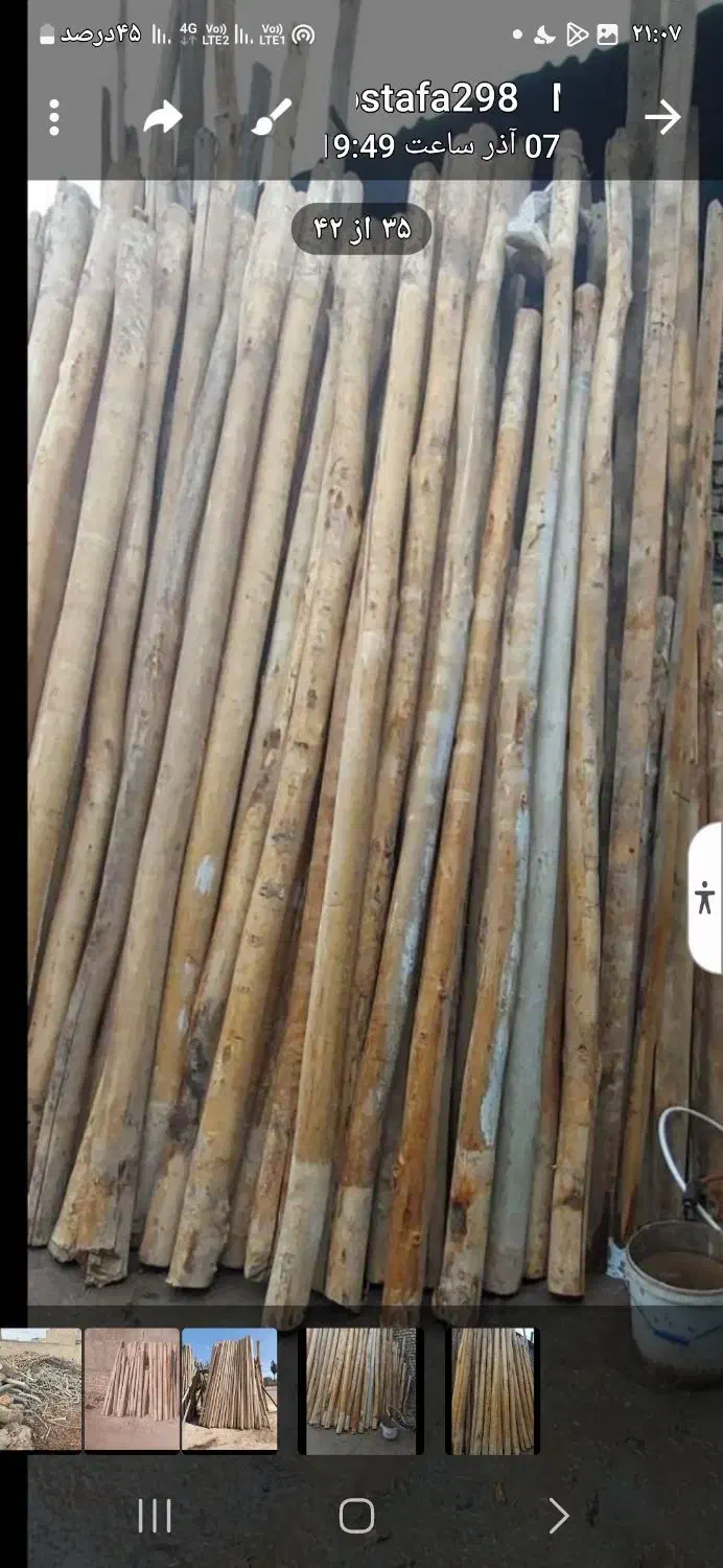 خرید چوب خریدار چوب تخته تنه درخت اره کاری|خدمات باغبانی و درختکاری|مشهد, بهاران|دیوار