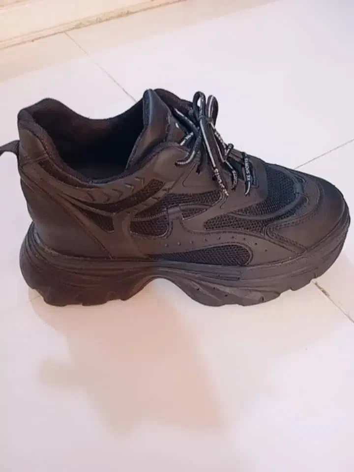 کفش لژ مخفی اسپورت|کیف، کفش، کمربند|شیراز, پانصد دستگاه ارتش|دیوار