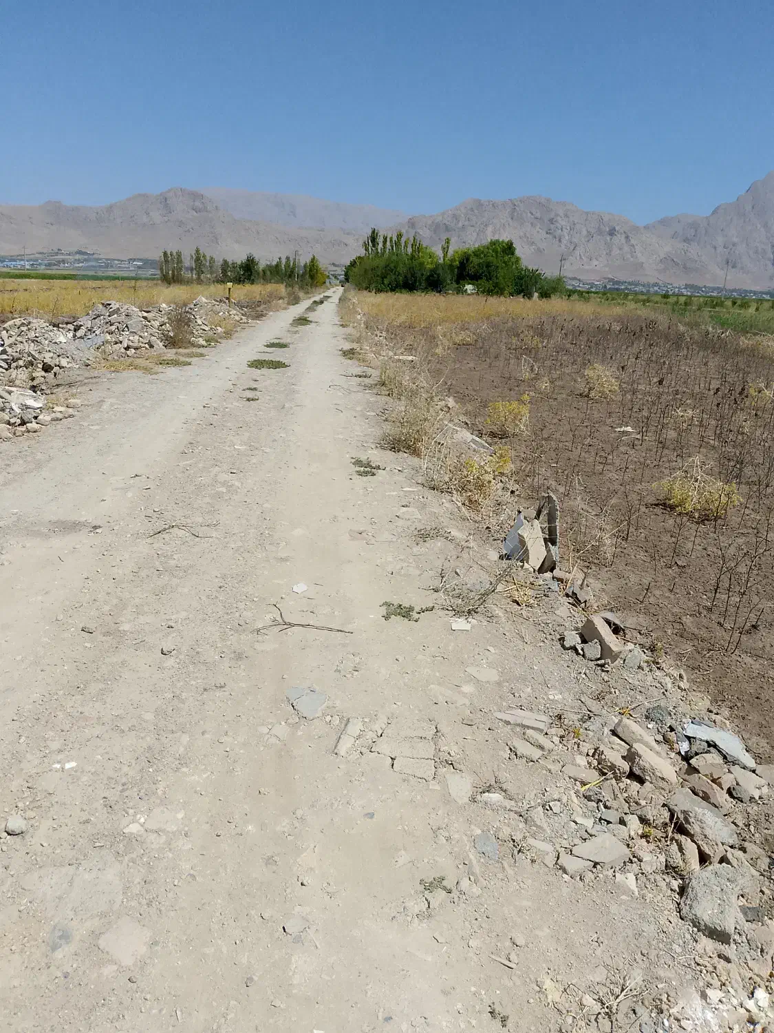 زمین  ۸۰۰ متری سند دار کهریز الهیه|فروش زمین و ملک کلنگی|کرمانشاه, |دیوار