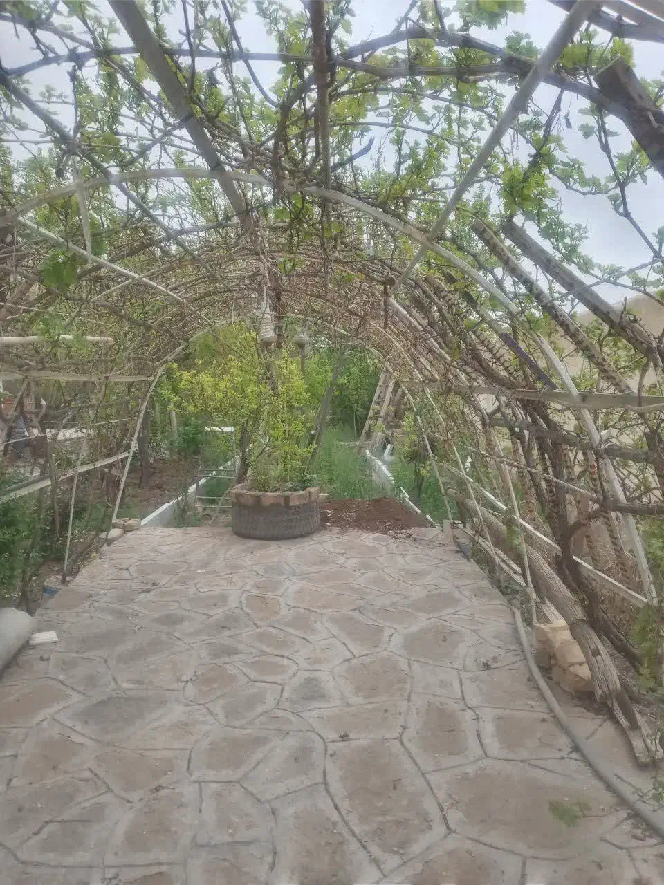 اجاره باغ ویلا|اجارهٔ کوتاهمدت ویلا و باغ|فردو, |دیوار