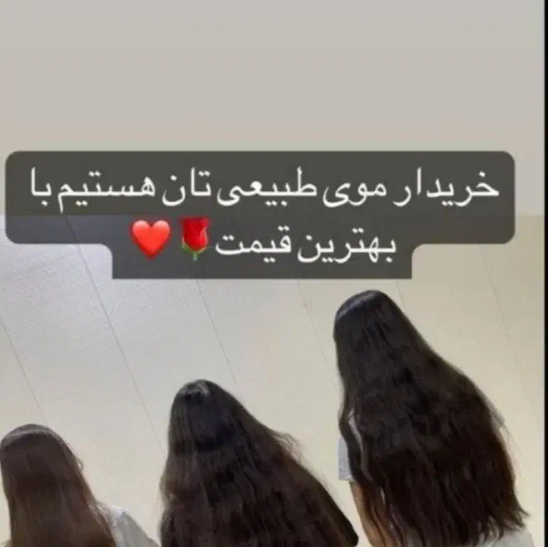 فروش مو (خ)|آرایشی، بهداشتی، درمانی|قم, زنبیل آباد|دیوار