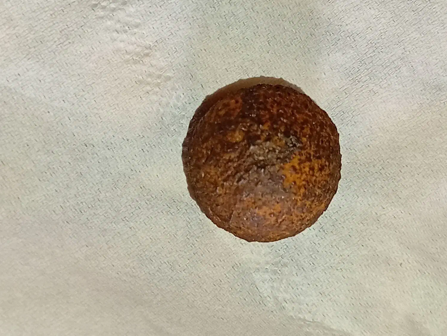 میر|کلکسیون اشیاء عتیقه|شیراز, لب آب|دیوار