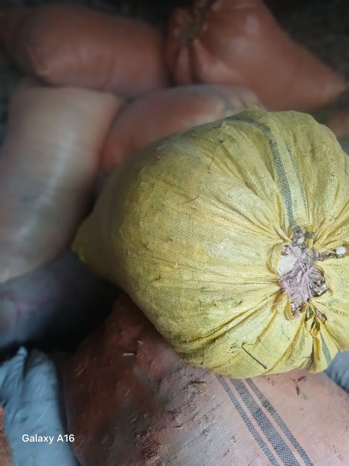 کاه و یونجه|لوازم جانبی حیوانات|خواجه, |دیوار