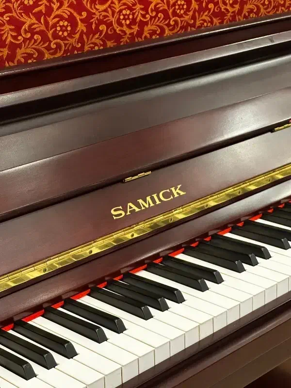 تمام برندهاموجودیاماهاکاوایی سمیک هافمن فالکن قسطی|پیانو، کیبورد، آکاردئون|اصفهان, عباسآباد|دیوار