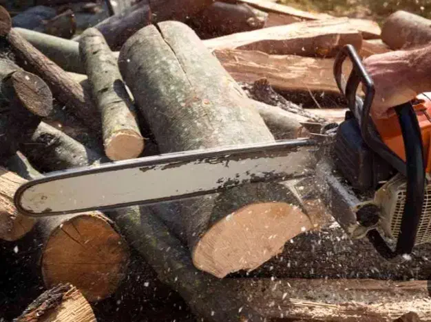 بریدن چوب|خدمات باغبانی و درختکاری|بروجرد, |دیوار