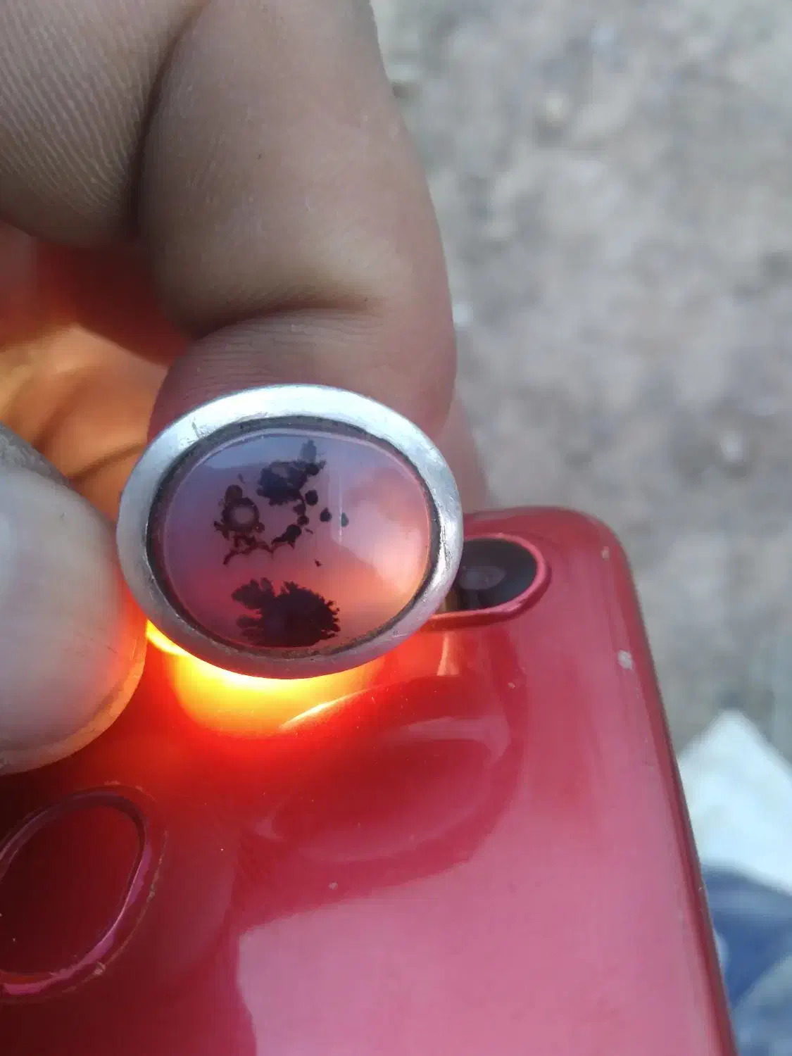 آنگوشتر شجر|کلکسیون اشیاء عتیقه|تایباد, |دیوار