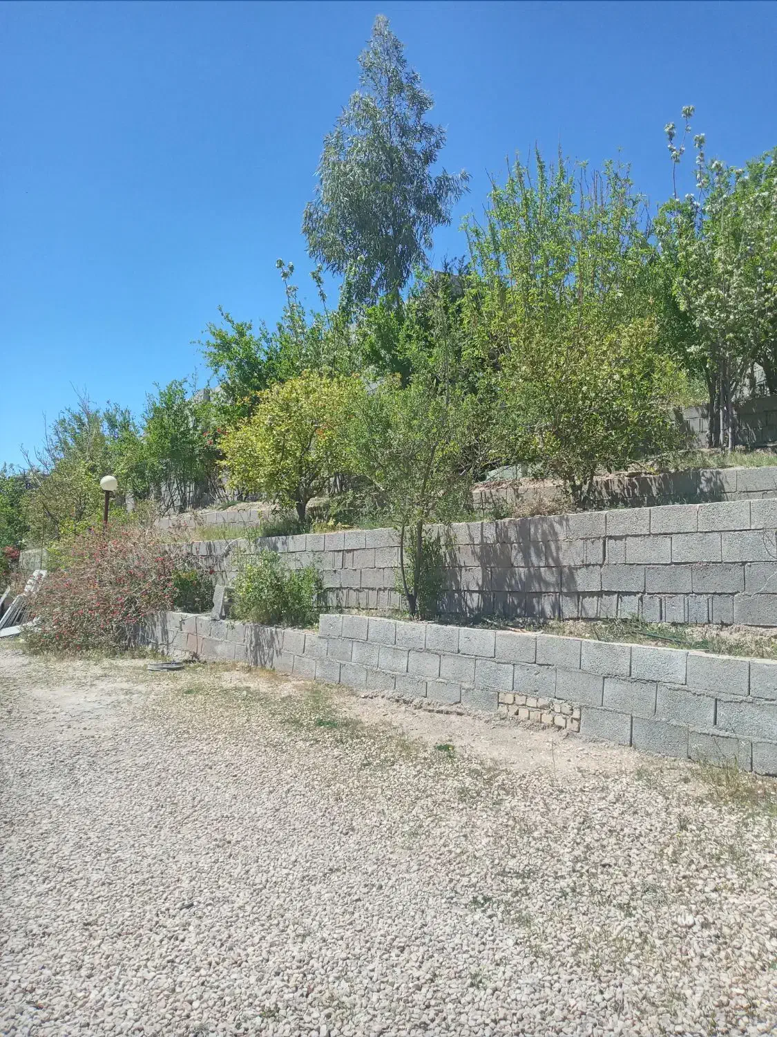 باغ با استخر و خانه در ملوان خفر|فروش خانه و ویلا|خفر, |دیوار