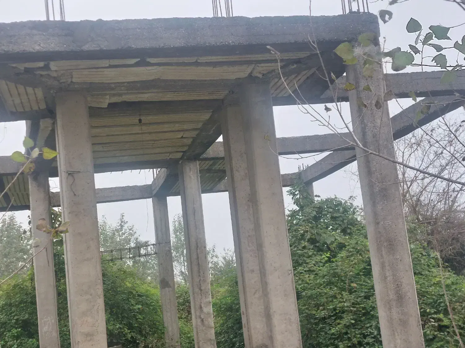 ۶۰۰‌متری‌لولمان ‌چهارده|فروش خانه و ویلا|بابل, |دیوار