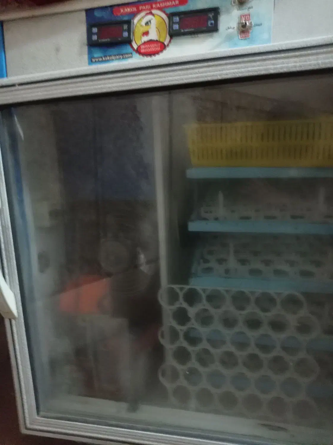 دستگاه جوجه کشی|لوازم جانبی حیوانات|زاهدان, |دیوار