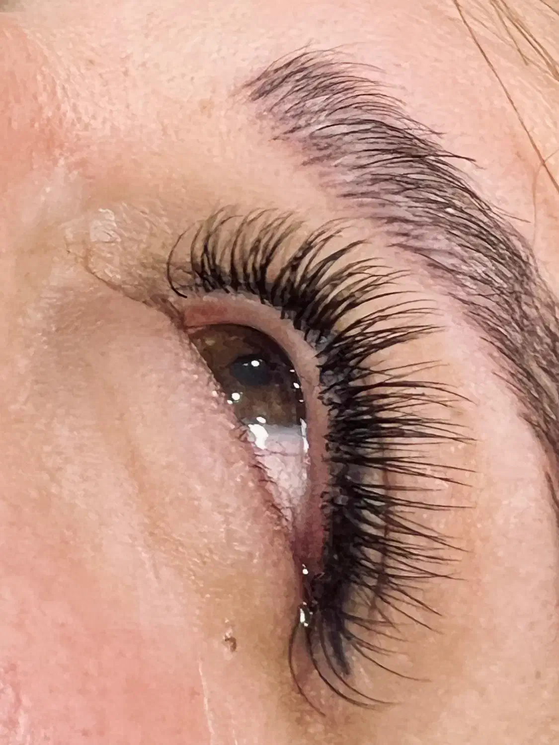 ده درصد تخفیف اکستنشن مژه و لیفت و لمینت مژه|خدمات آرایشگری و زیبایی|گنبد کاووس, |دیوار