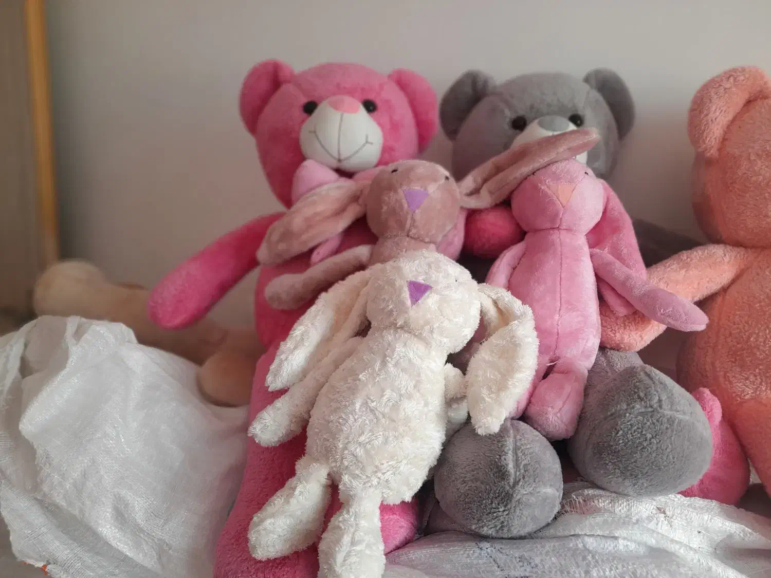 روز زن نزدیکه|اسباب‌‌بازی|بیرجند, |دیوار