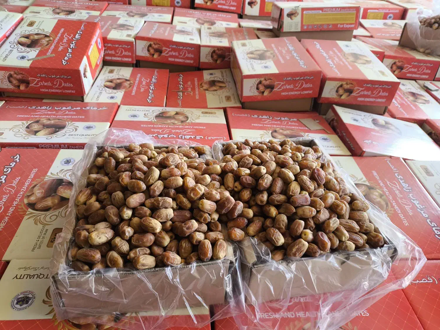 خرمای زاهدی قیمت توافقی|خوردنی و آشامیدنی|فراشبند, |دیوار