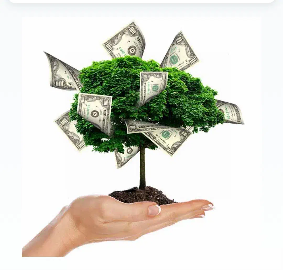 سرمایه گذاری شراکت.مقدار سه ملیارد دارم|خدمات مالی، حسابداری، بیمه|خرمآباد, |دیوار