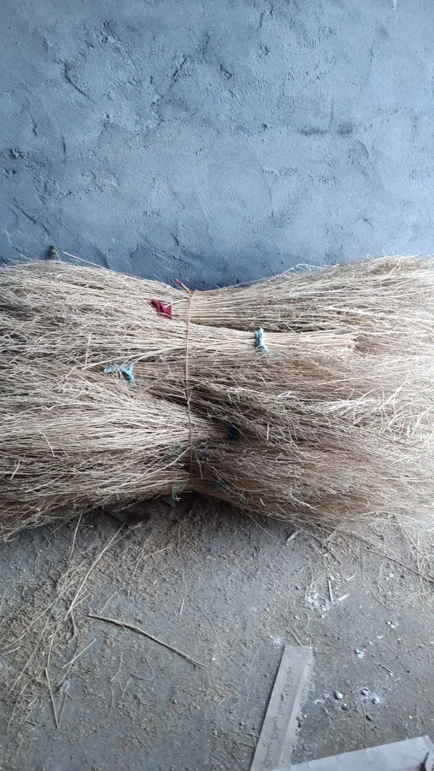 ۶۷۰عدد جارو دونه ای۸۰تومان|لوازم نظافت|دورود, |دیوار