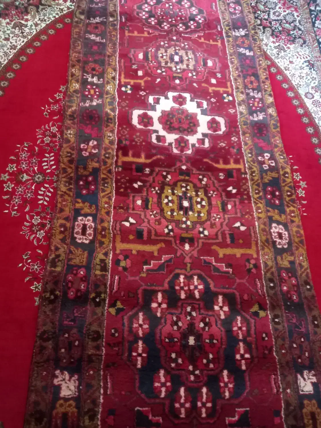 فرش|فرش|مشگین شهر, |دیوار