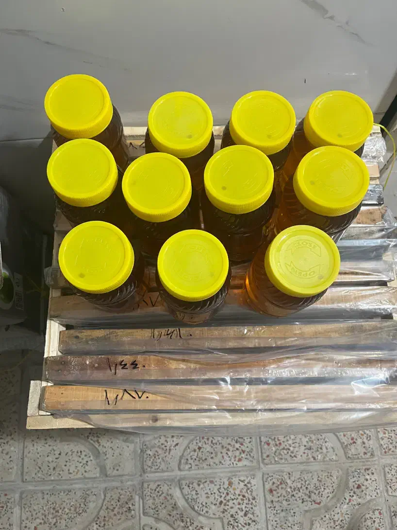 عسل گون طبیعی دامنه های رشته کوه سبلان|خوردنی و آشامیدنی|شاهدشهر, |دیوار