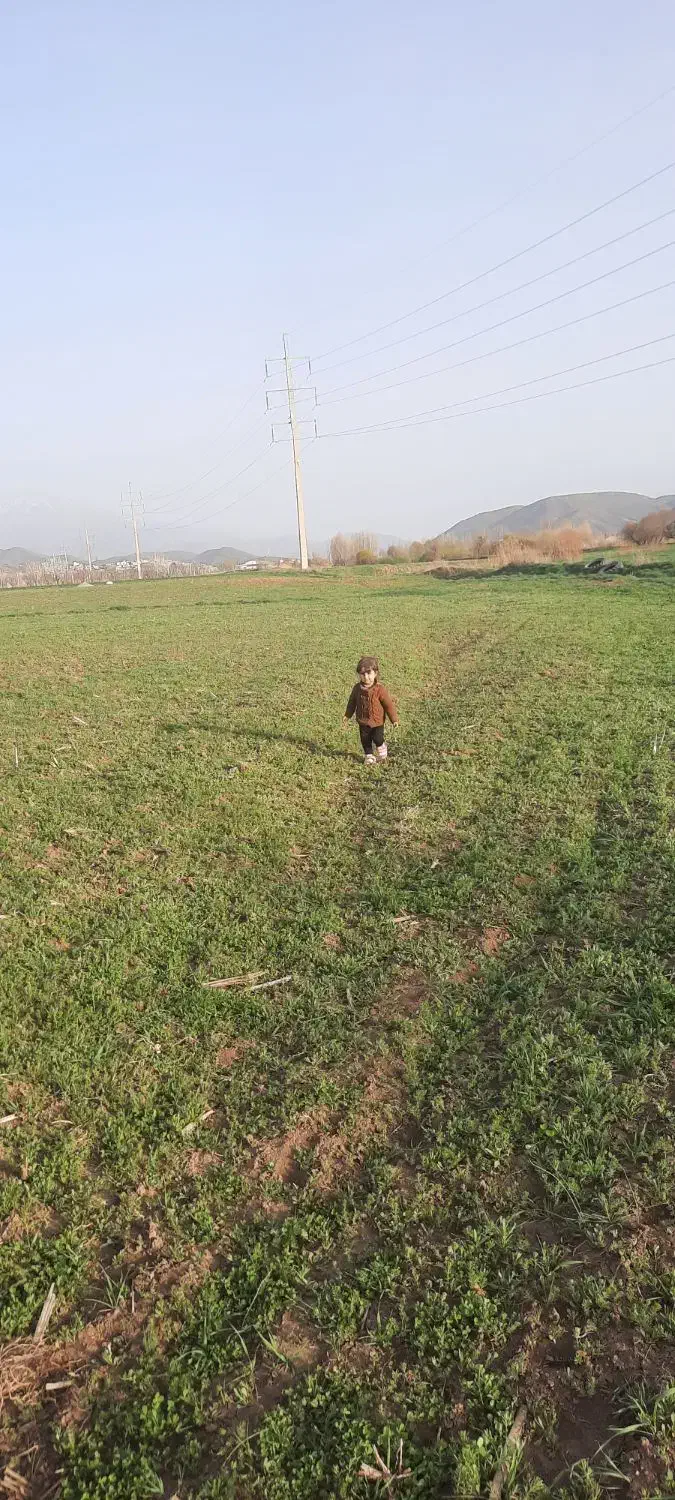 معاوضه|فروش زمین و ملک کلنگی|پاوه, |دیوار