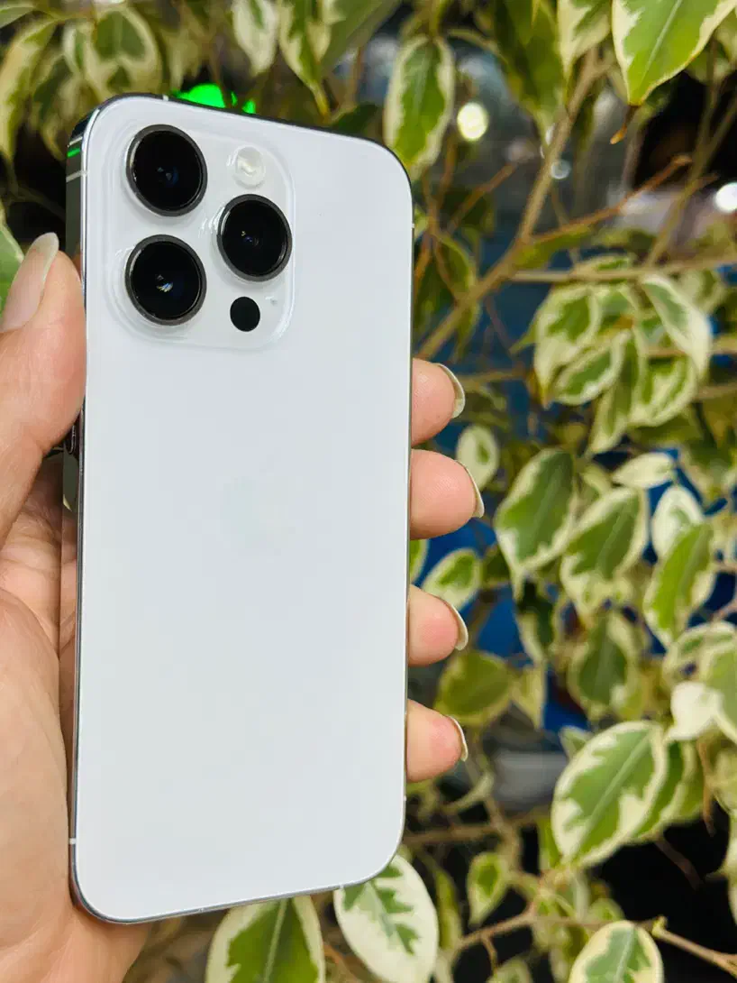 14pro zaa|موبایل|رشت, پاستوریزه|دیوار