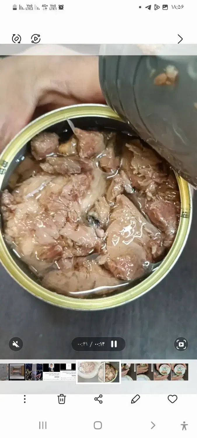 تون جنوب چابهار|خوردنی و آشامیدنی|تربت جام, معدآباد|دیوار