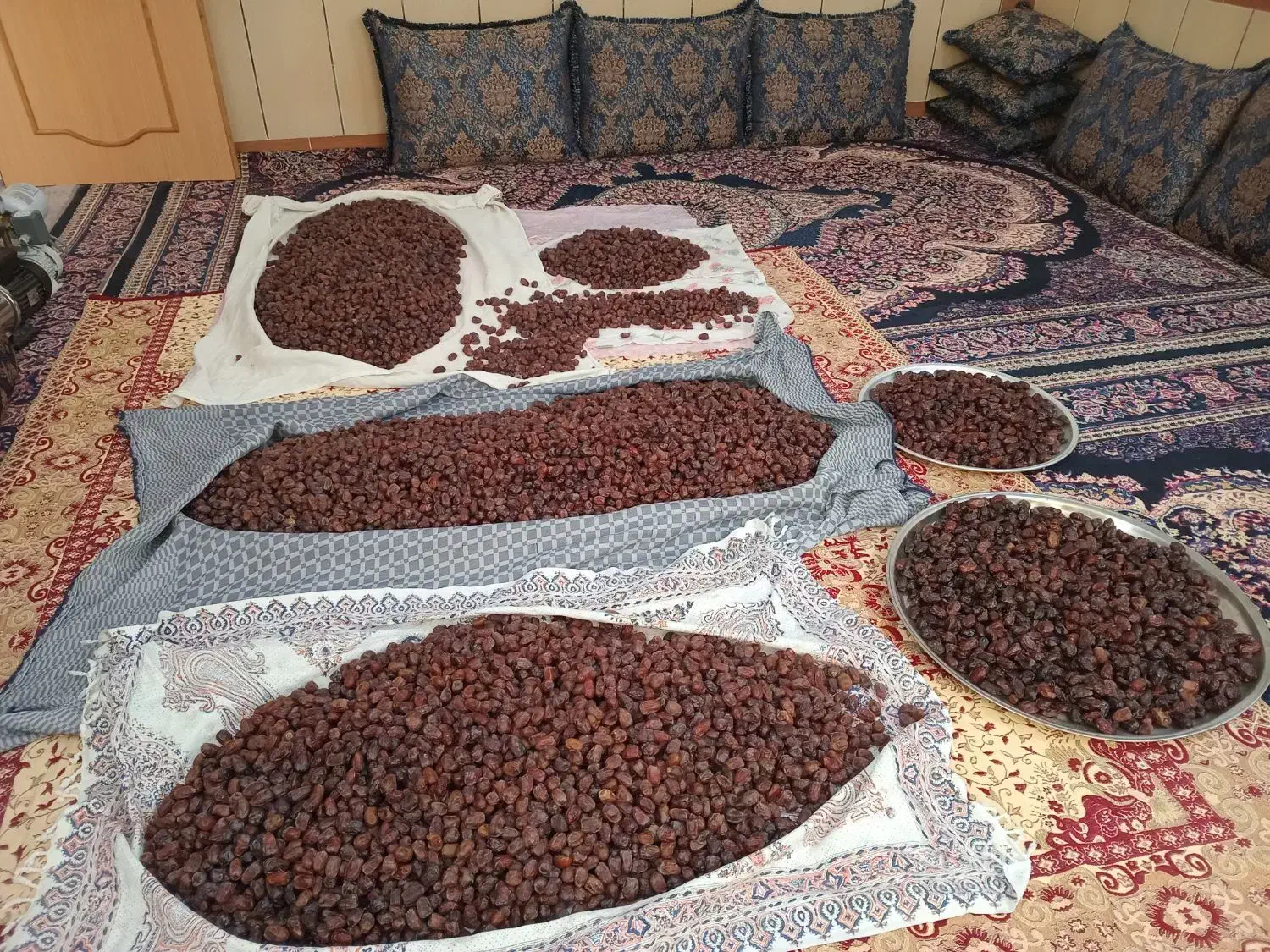 خرمای کبکاب شسته|خوردنی و آشامیدنی|شیراز, حومه شیراز|دیوار
