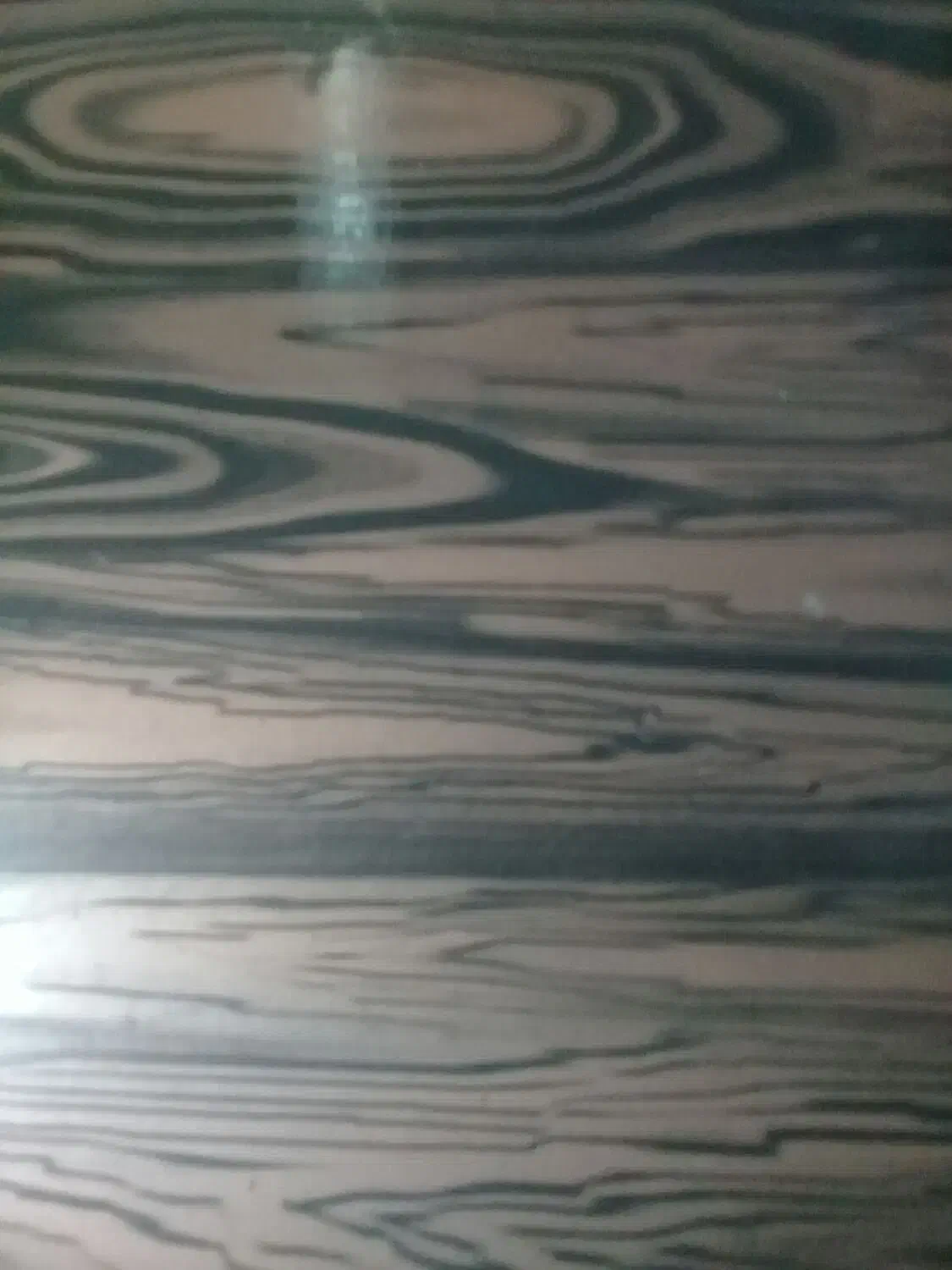 اسنپ آماده|فعالیت داوطلبانه|سبزوار, جوادیه غربی|دیوار