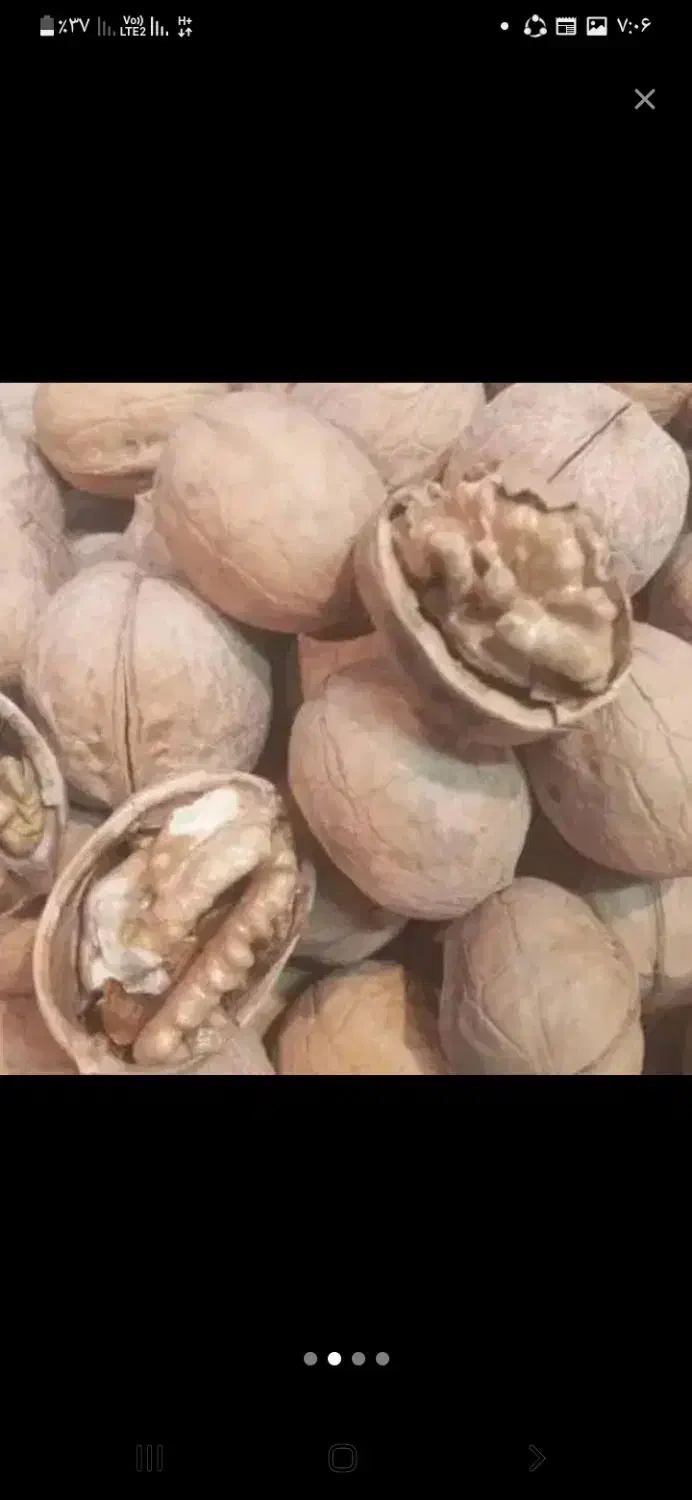 ملاشیه|عمده‌فروشی|اهواز, اسماعیلیه|دیوار