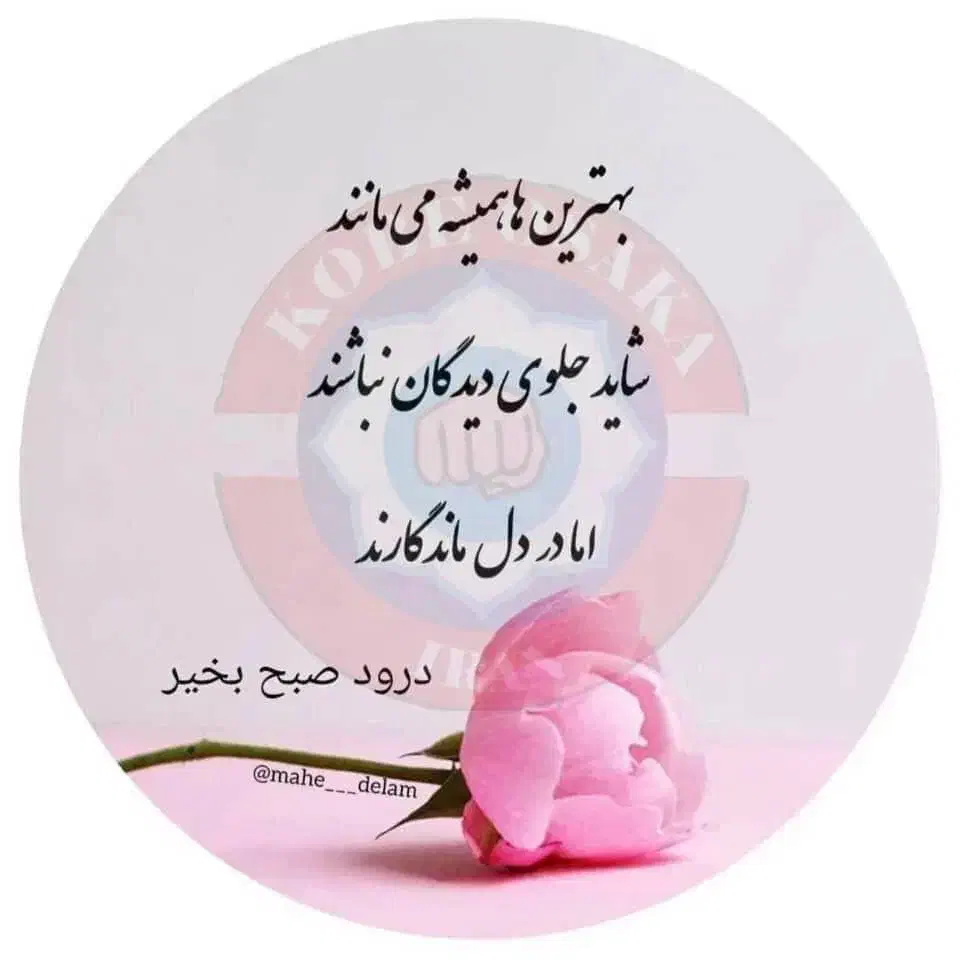 ضا.م.ن متقابل|فعالیت داوطلبانه|میناب, |دیوار
