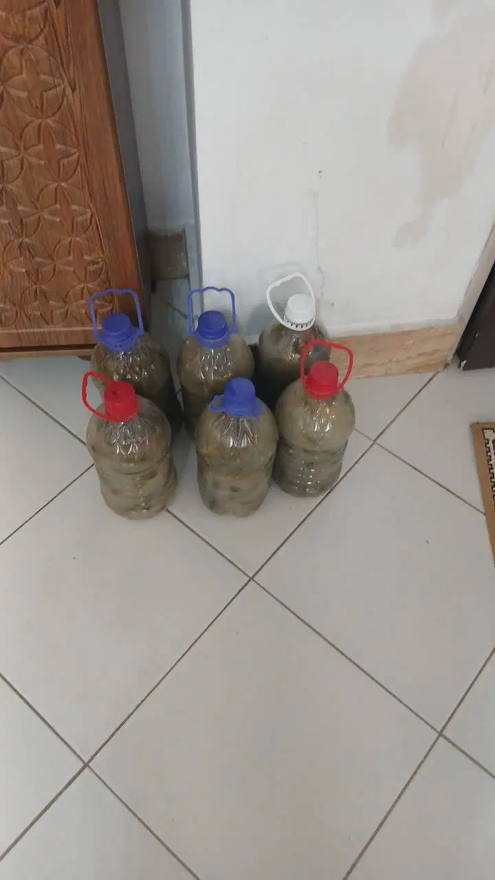 خیار شور|خوردنی و آشامیدنی|اسلام‌شهر, شهرک مفیدی|دیوار