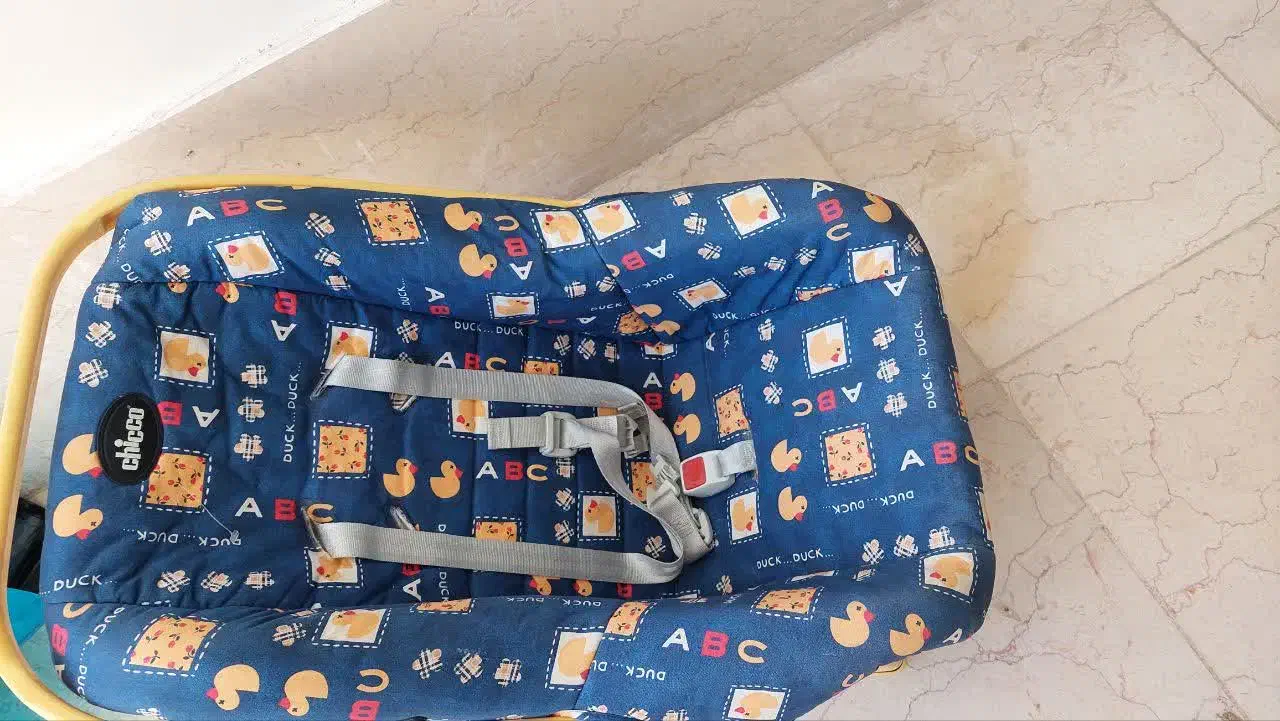 کریر چیکو|کالسکه و لوازم جانبی|فلاورجان, |دیوار