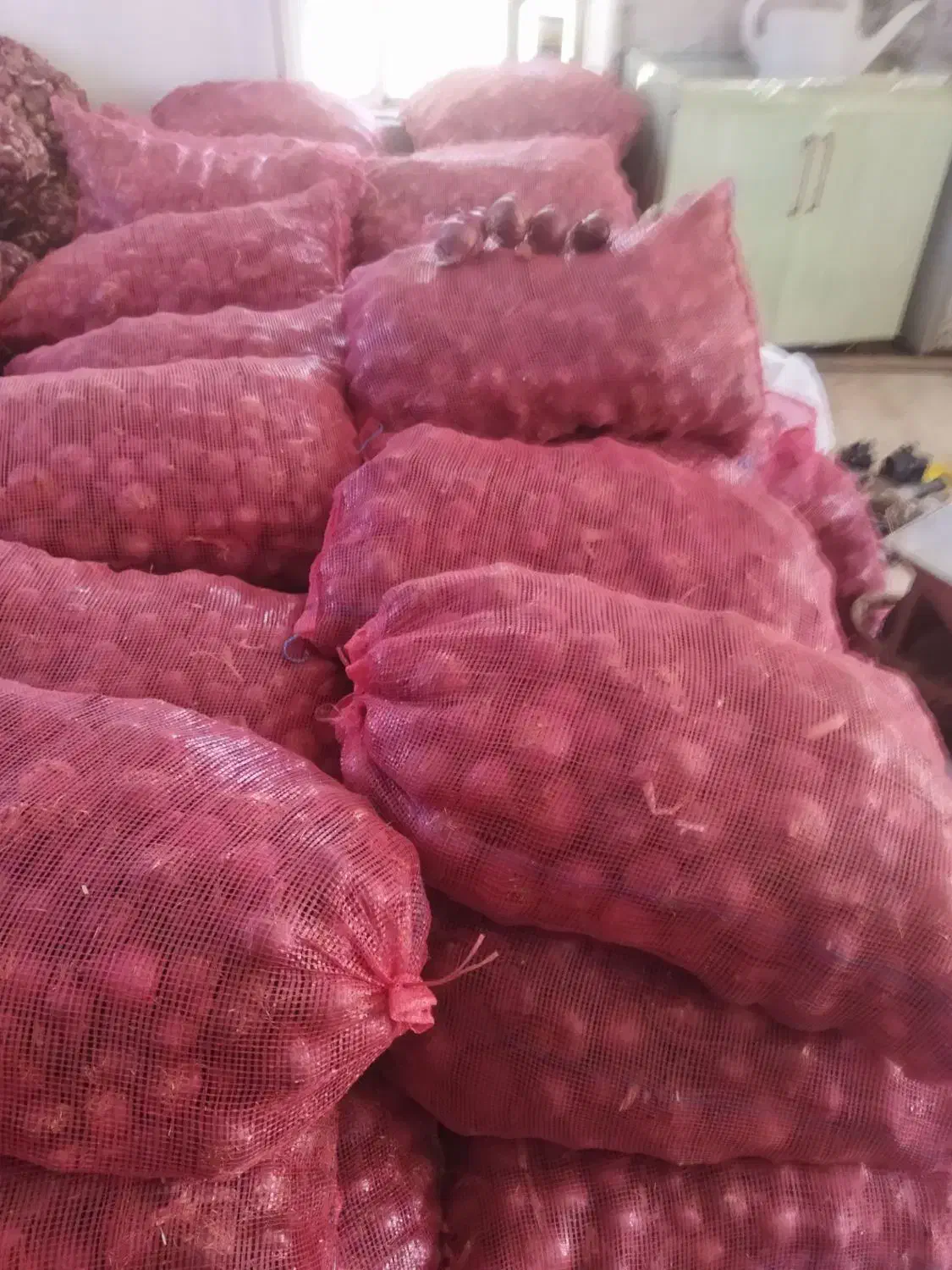 پیاز قرمز|خوردنی و آشامیدنی|گوآور, |دیوار