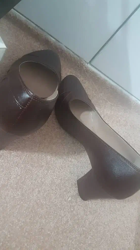 کیف و کفش چرم مشهد|کیف، کفش، کمربند|نیر (یزد), |دیوار