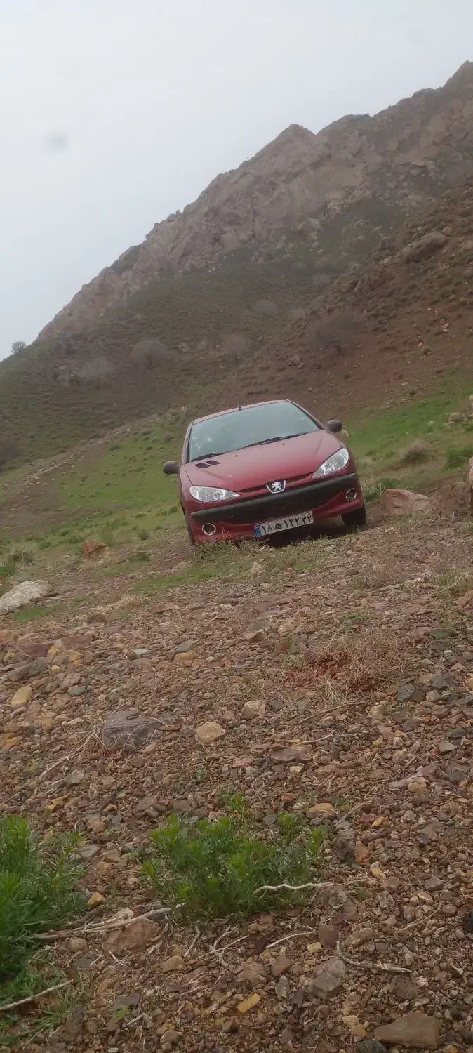 ۲۰۶|خودرو سواری و وانت|تایباد, |دیوار