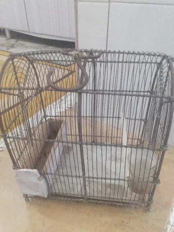 قفس سهره|لوازم جانبی حیوانات|بروجرد, |دیوار