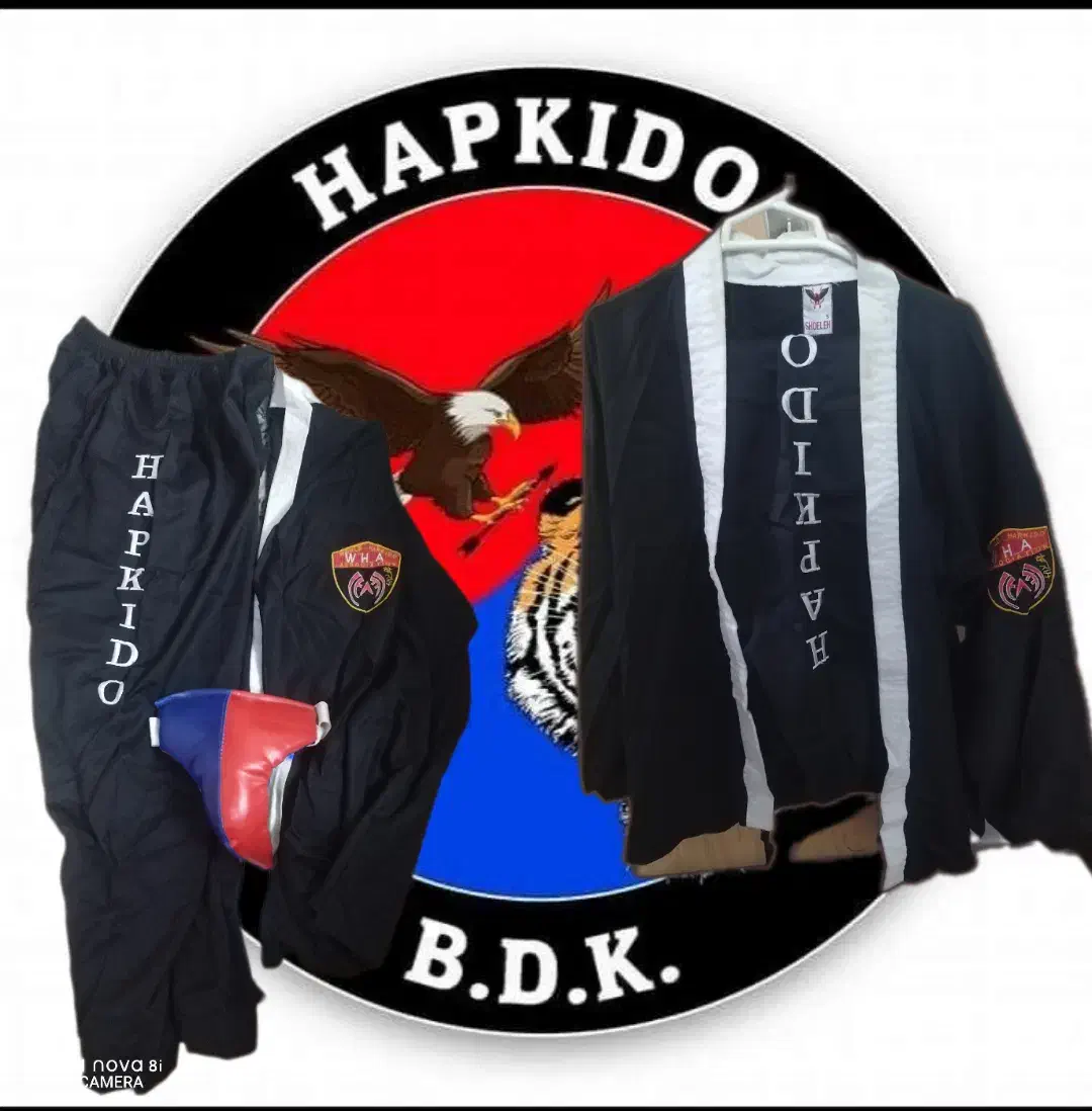 لباس رزمی(هاپکیدو)|لباس|ری, شهید غیوری (ابن باویه)|دیوار