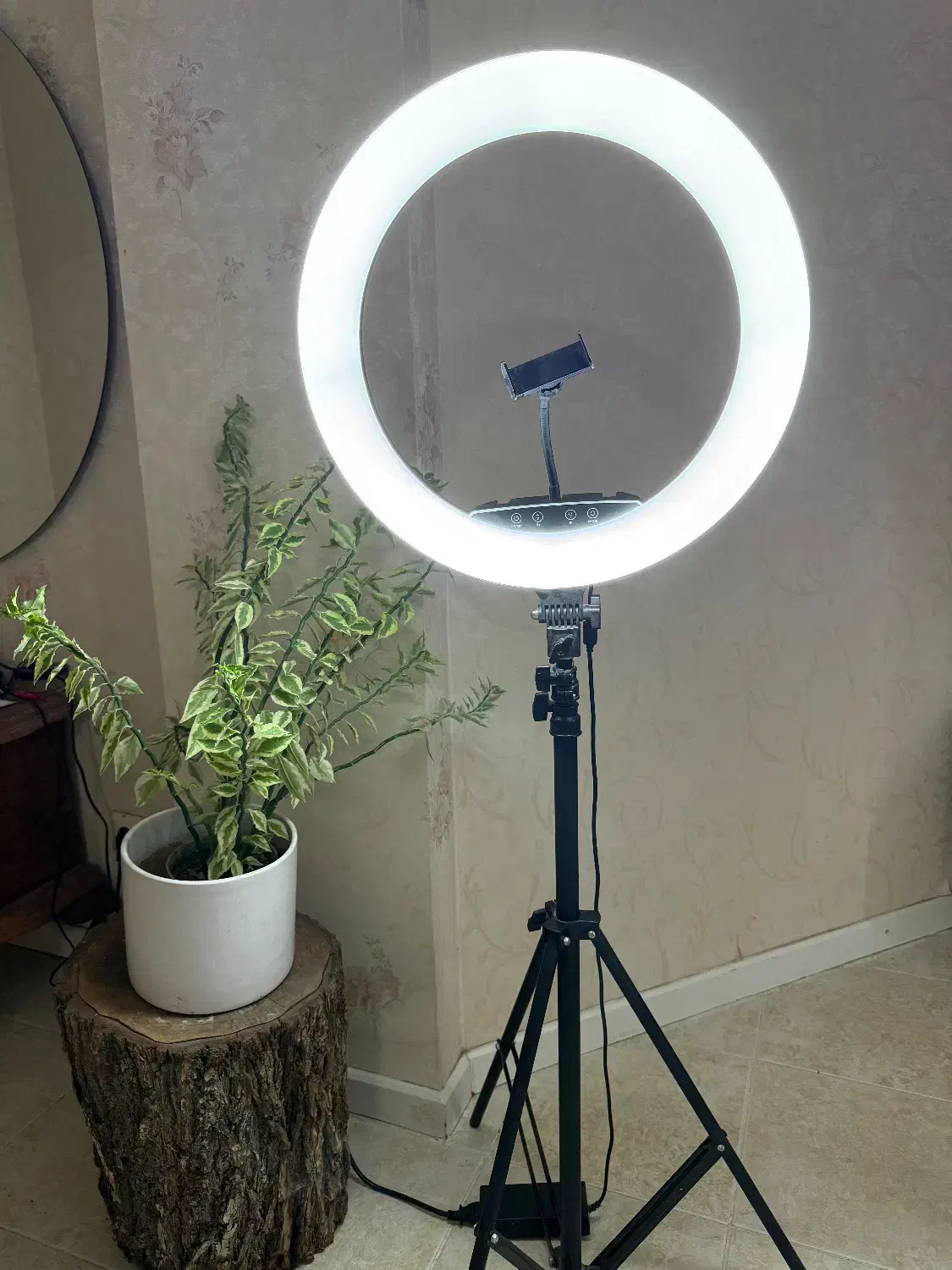 رینگ لایت حرفه ای|لوازم جانبی موبایل و تبلت|قم, بنیاد|دیوار