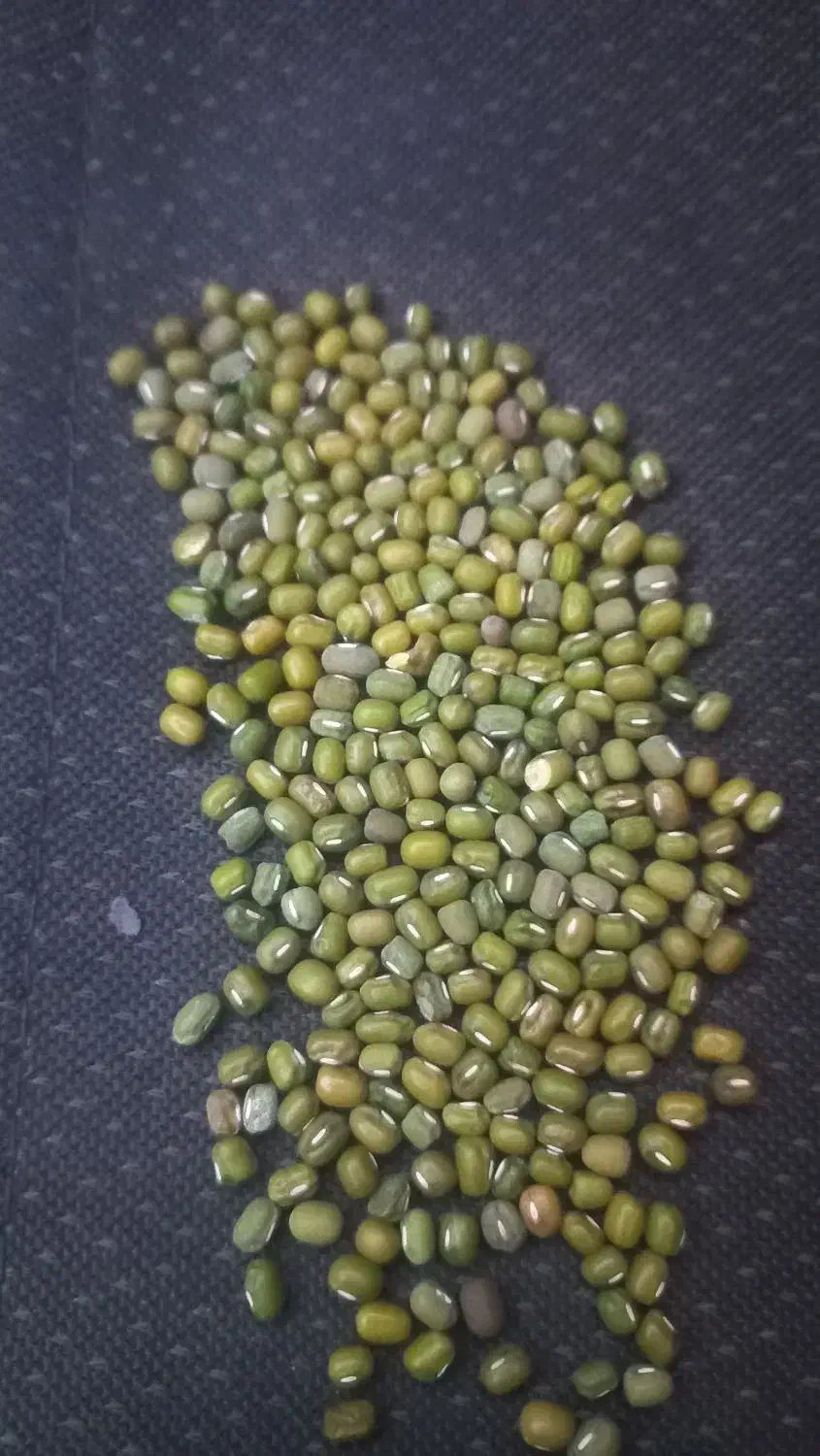 ماش درجه یک|خوردنی و آشامیدنی|کوهدشت, |دیوار