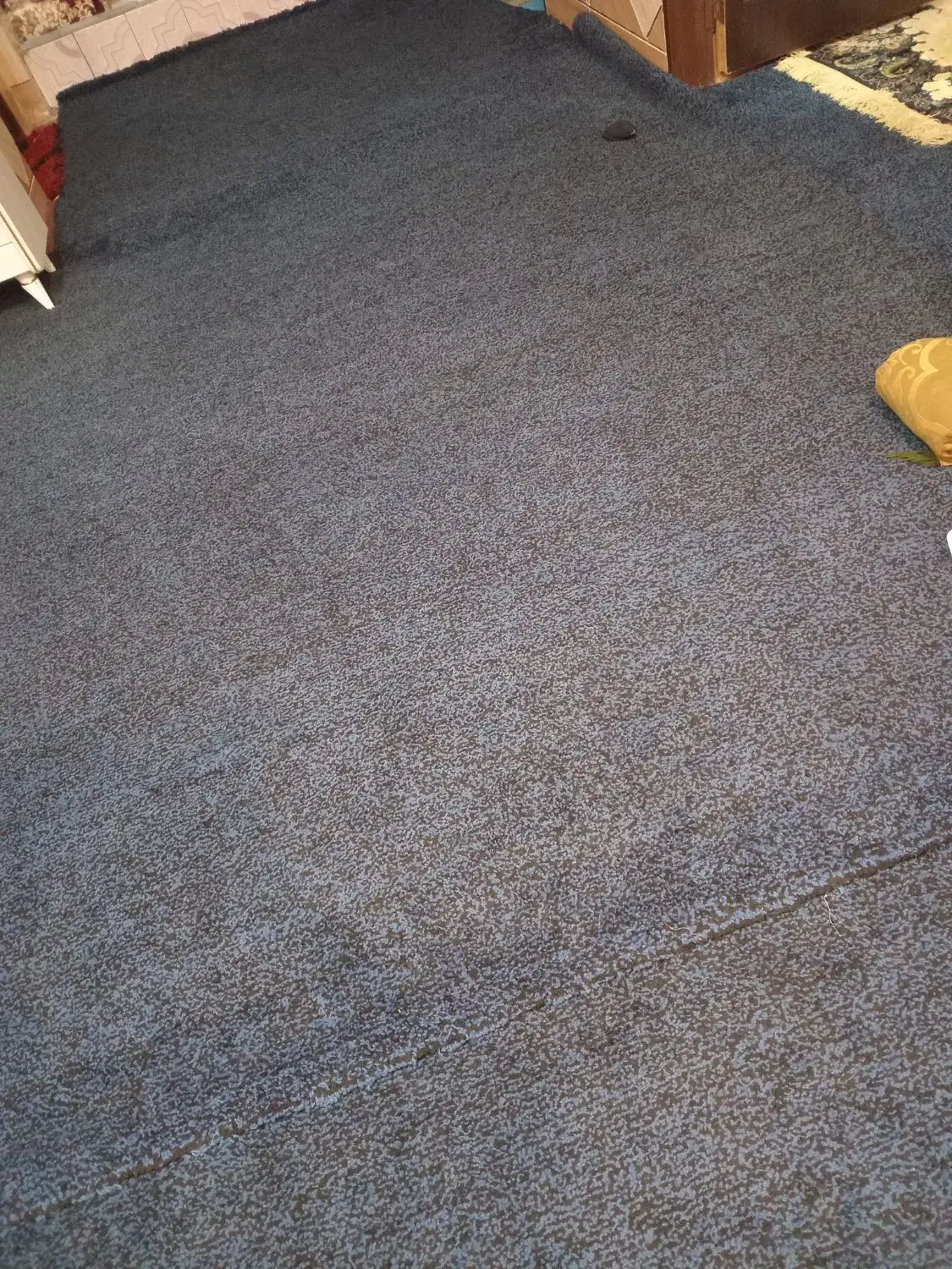 سی متر موکت درحدنو|موکت|خرمشهر, |دیوار