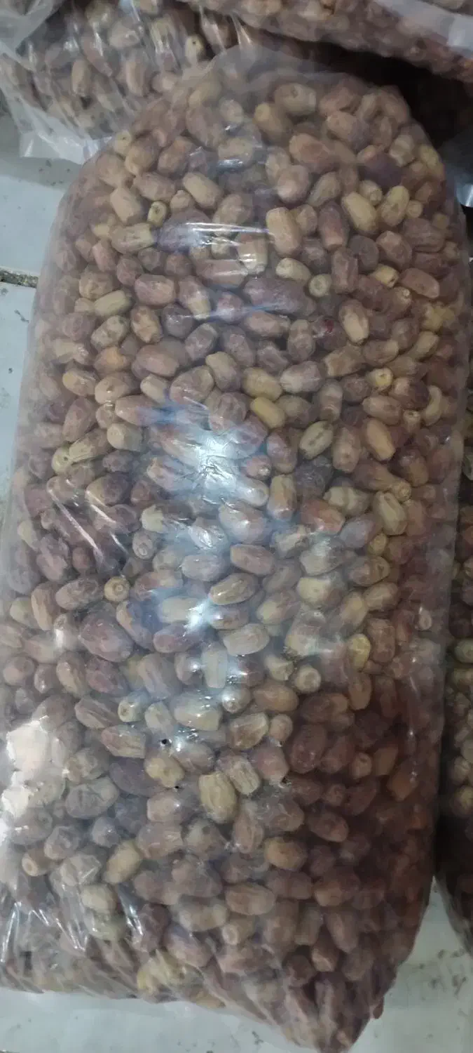 خرمای زاهدی به قیمت عمده|عمدهفروشی|هامون, |دیوار