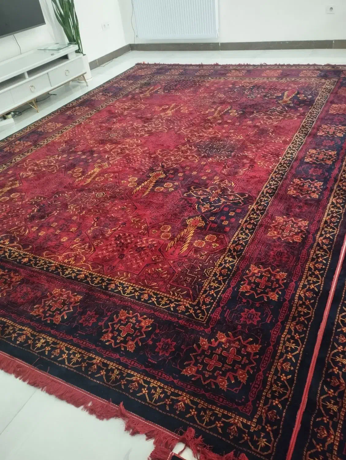 فرش قرمز سلطنتی نو نو نو|فرش|ایلام, |دیوار