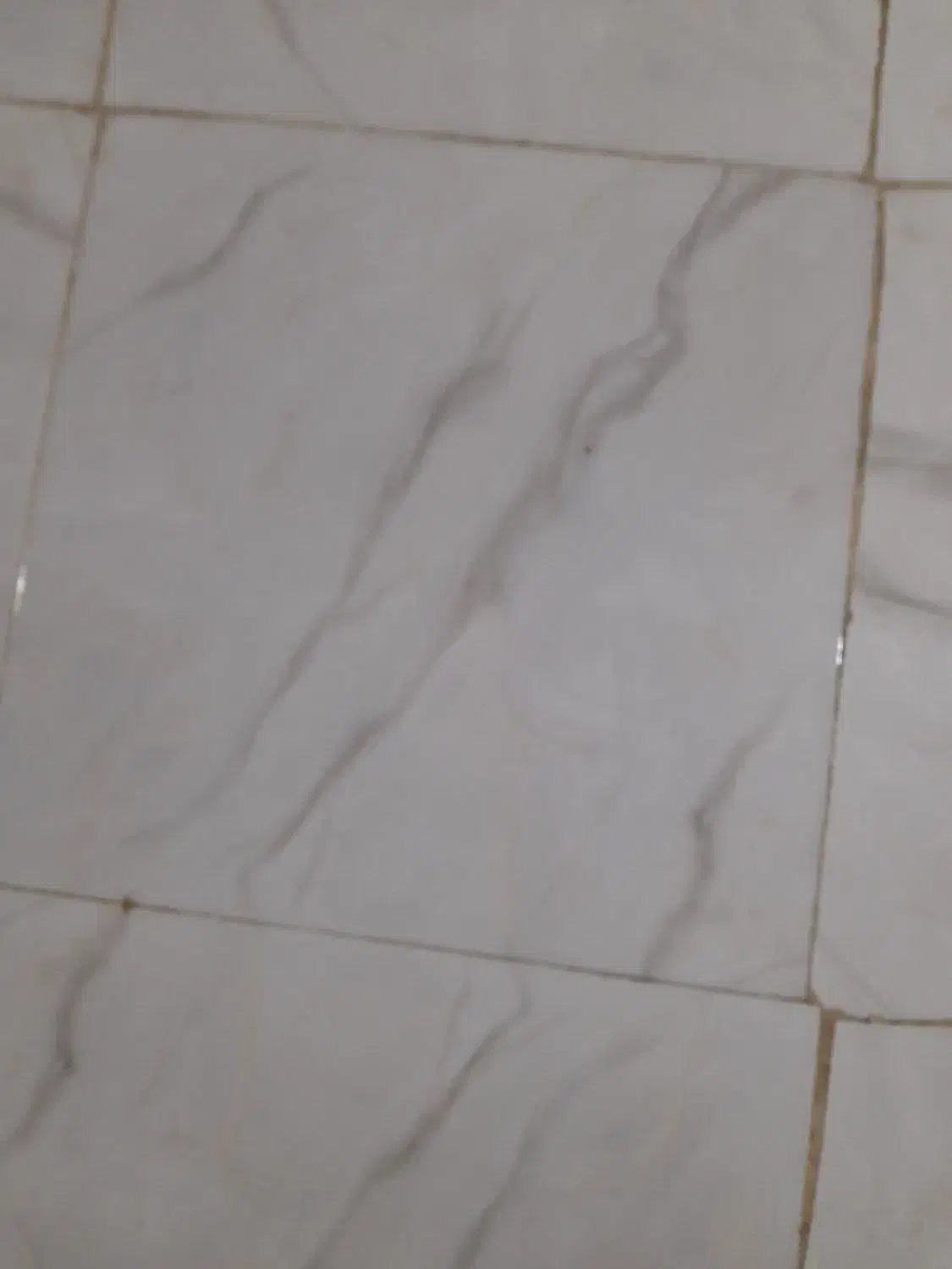 فروش یک دستگاه مغازه تمام تجاری،کوچه شیرخانی ،|فروش مغازه و غرفه|نورآباد, |دیوار