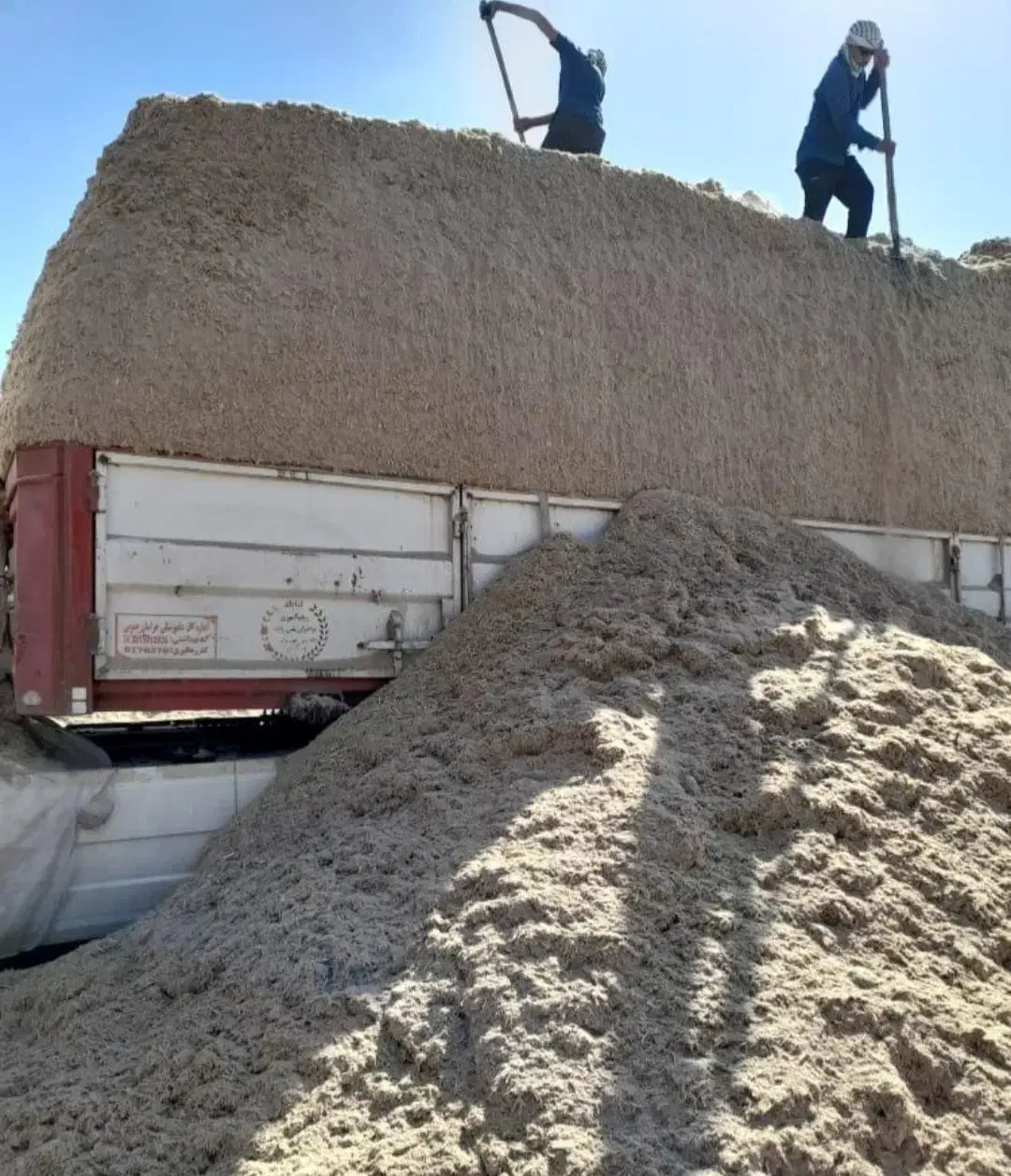 کاه خوارک دام نیشکر تازه یا باگاس|لوازم جانبی حیوانات|قزوین, |دیوار