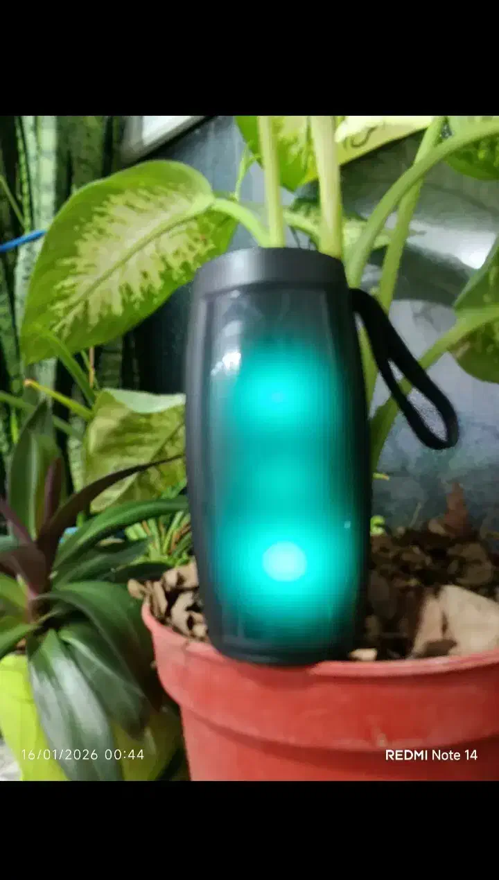 اسبیکر|پخش‌کننده همراه|قم, پردیسان|دیوار