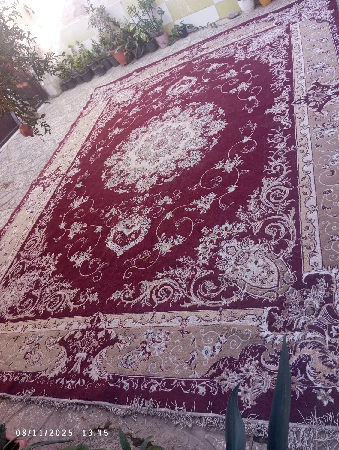 دو عدد فرش 12متری|فرش|گرگان, |دیوار