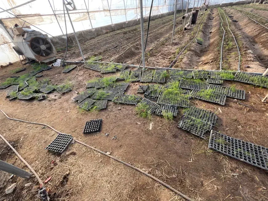 اجاره گلخانه ۵۰۰۰متری ورامین|اجارهٔ دفتر صنعتی، کشاورزی، تجاری|تهران, آبشار|دیوار