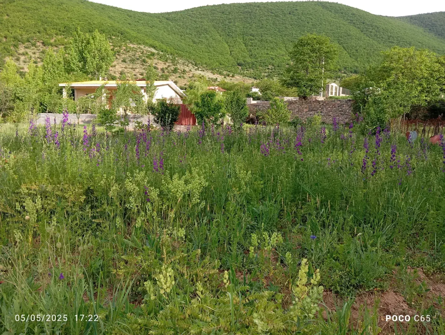 فروش ویلا فلت منطقه کوهستانی زانوس|فروش خانه و ویلا|کجور, |دیوار