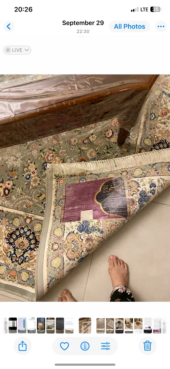 یک جفت فرش بهشتی نه متری|فرش|تهران, هفت حوض|دیوار