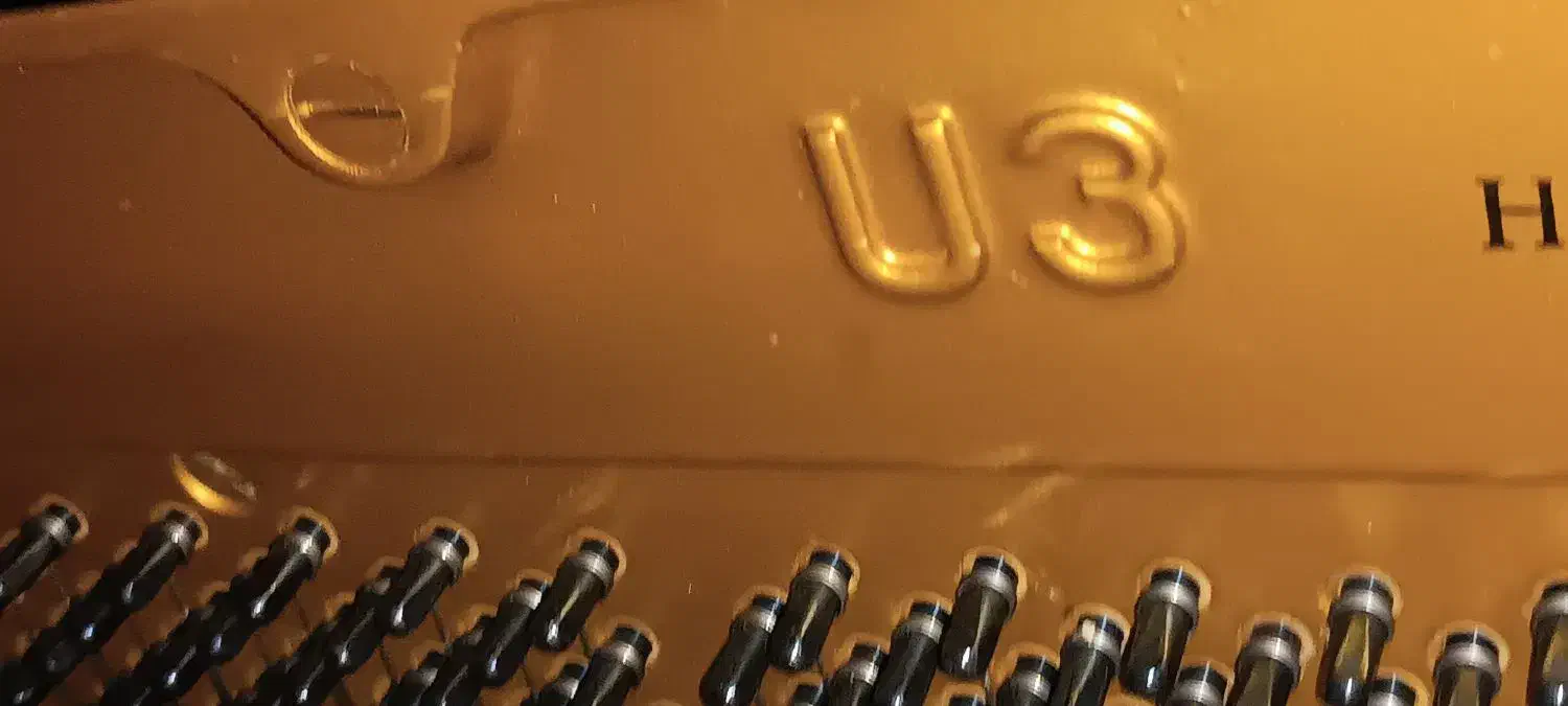 پیانو U3 ژاپن|پیانو، کیبورد، آکاردئون|آمل, |دیوار