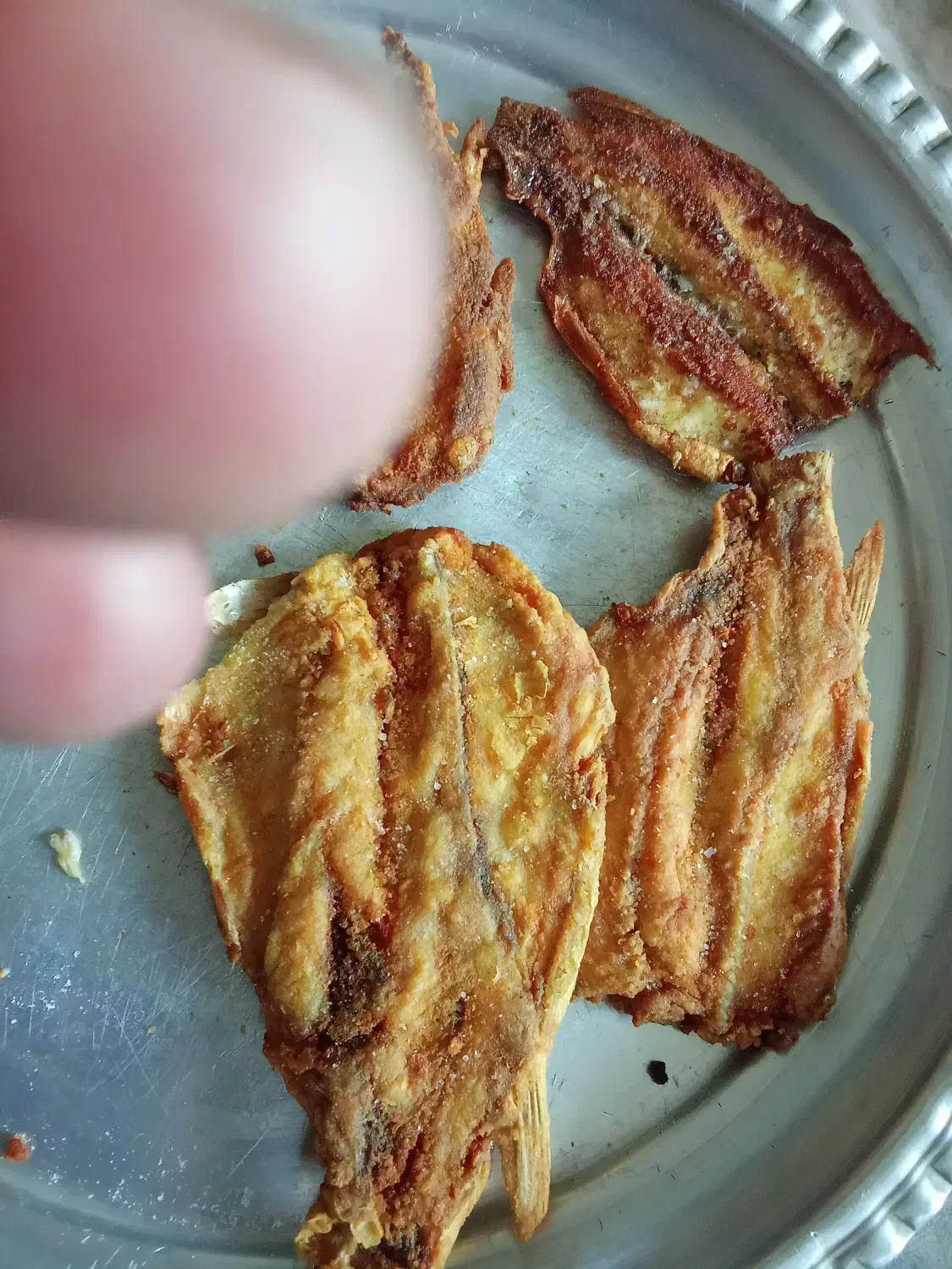 بالیخ|ماهی|میانه, |دیوار