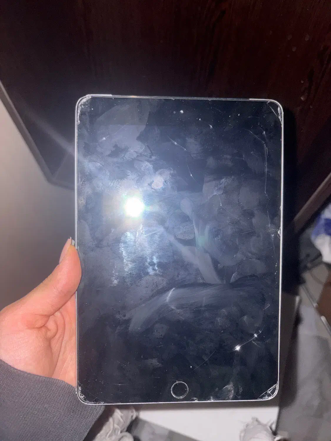 ایپد مینی|تبلت|اصفهان, باغ زیار|دیوار