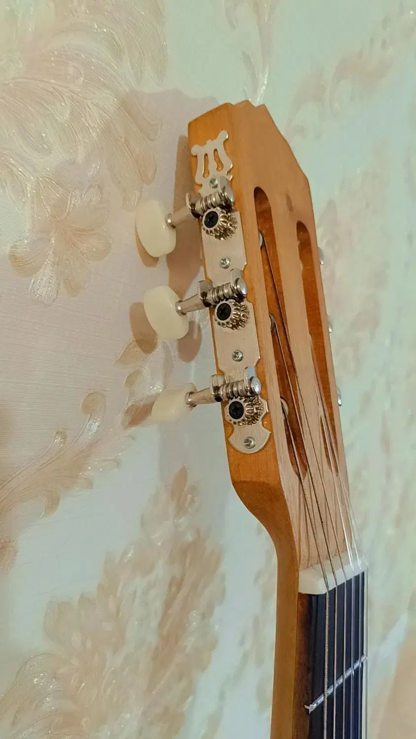 گیتار  کلاسیک اسپانیش|گیتار، بیس، امپلیفایر|شاهین‌شهر, سعدی شمالی|دیوار